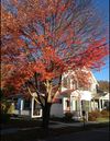 831 Court St photo